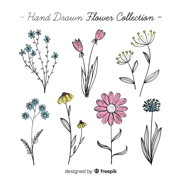 Lovely hand drawn flower collection