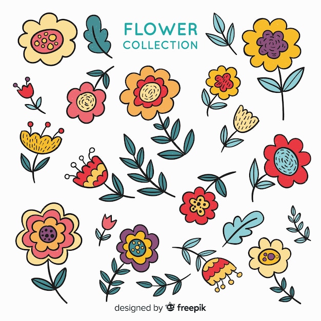 Lovely hand drawn flowers collection