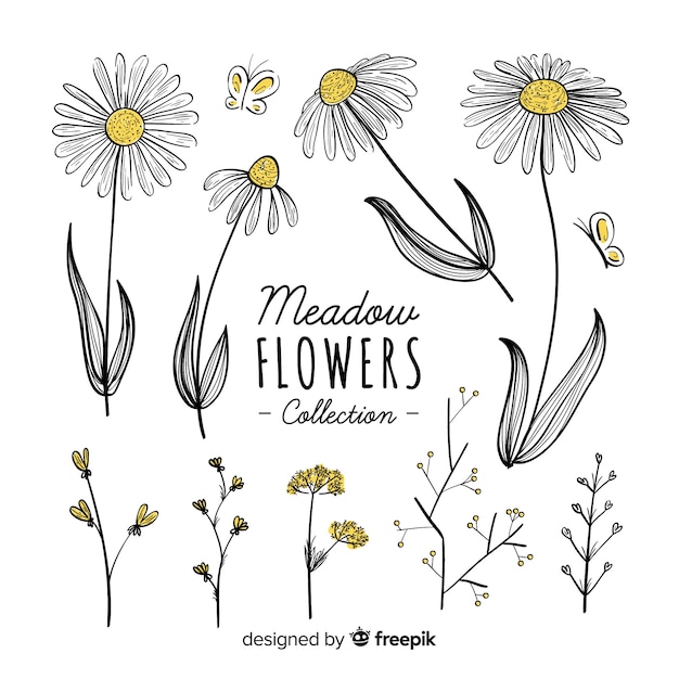 Free Vector lovely hand drawn flowers collection