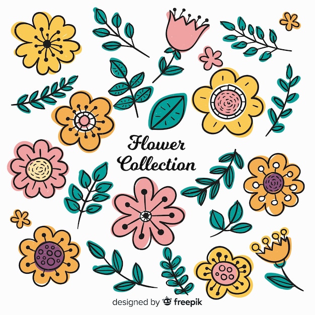 Lovely hand drawn flowers collection