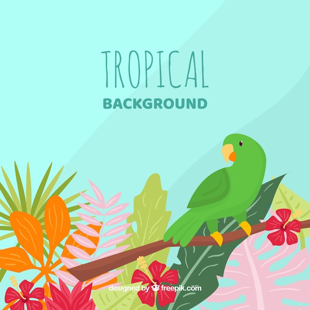 Lovely hand drawn tropical background