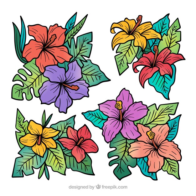 Lovely hand drawn tropical flower collection