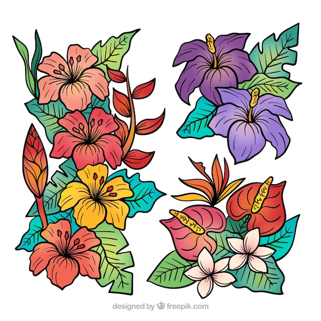 Lovely hand drawn tropical flower collection