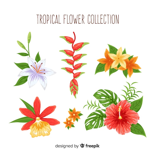 Lovely hand drawn tropical flower collection