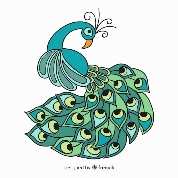 Lovely peacock in hand drawn style