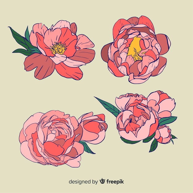 Free Vector lovely peony flower collection