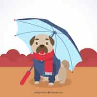 Free vector lovely pug with umbrella and coat