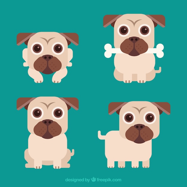 Free Vector lovely pugs with cute style