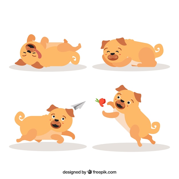 Lovely pugs with flat design