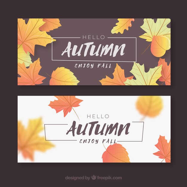 Lovely set of autumn banners with realistic design