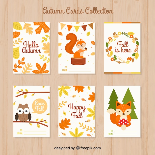 Lovely set of autumn cards