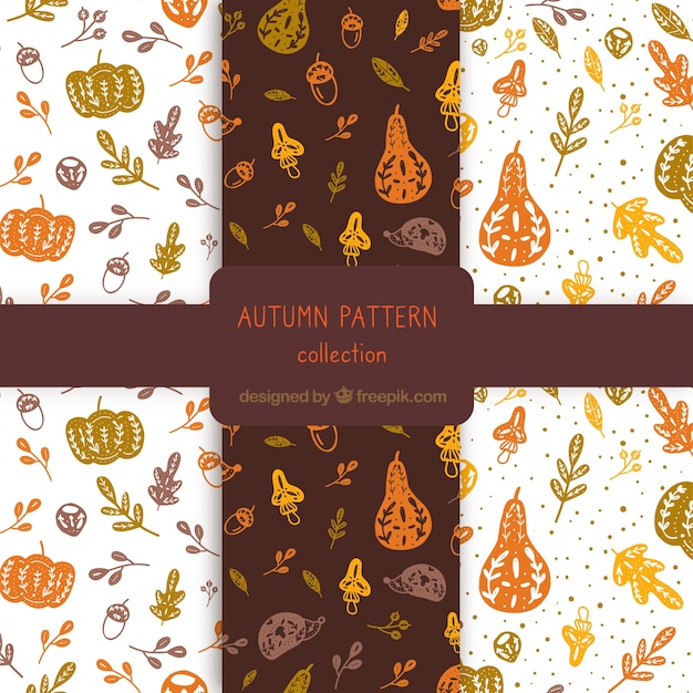 Lovely set of autumnal patterns