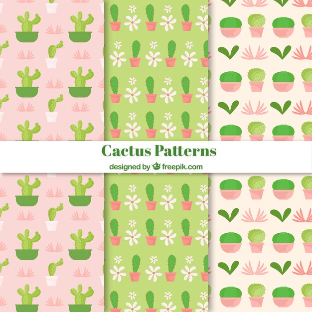 Lovely set of cactus patterns