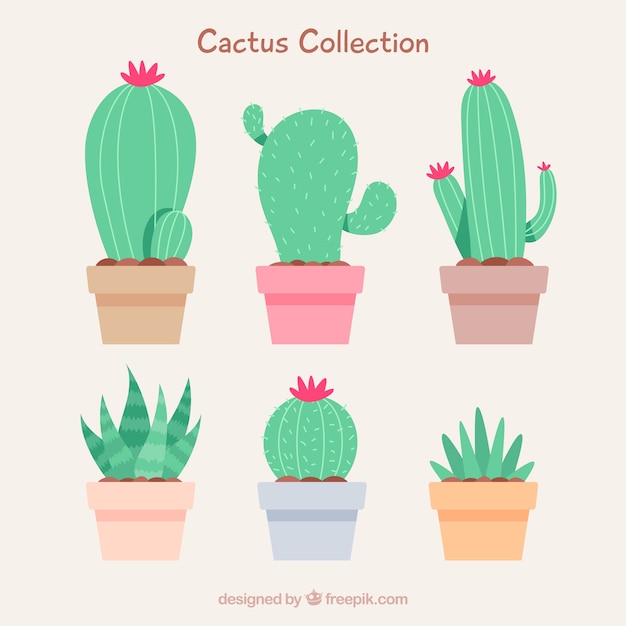 Free Vector lovely set of cute cactus