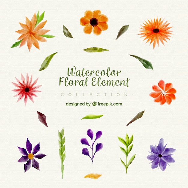 Free Vector lovely watercolor floral element collection