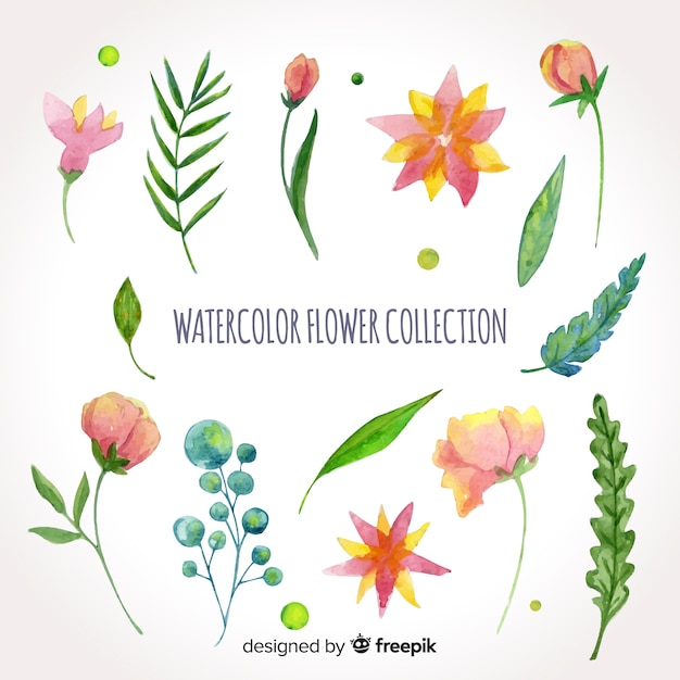 Lovely watercolor flower collection