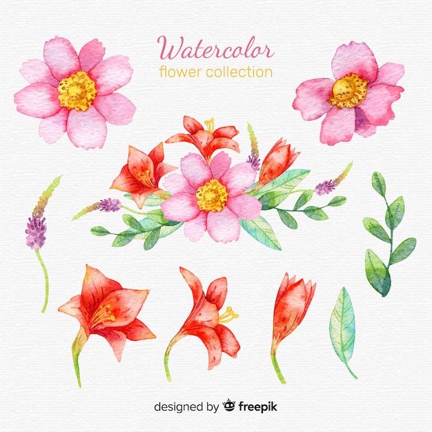 Lovely watercolor flower collection