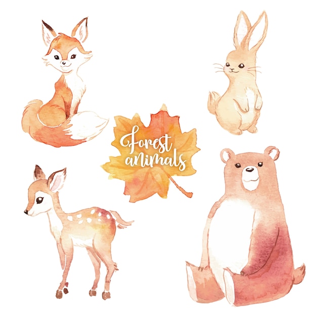 Free Vector lovely watercolor forest animals