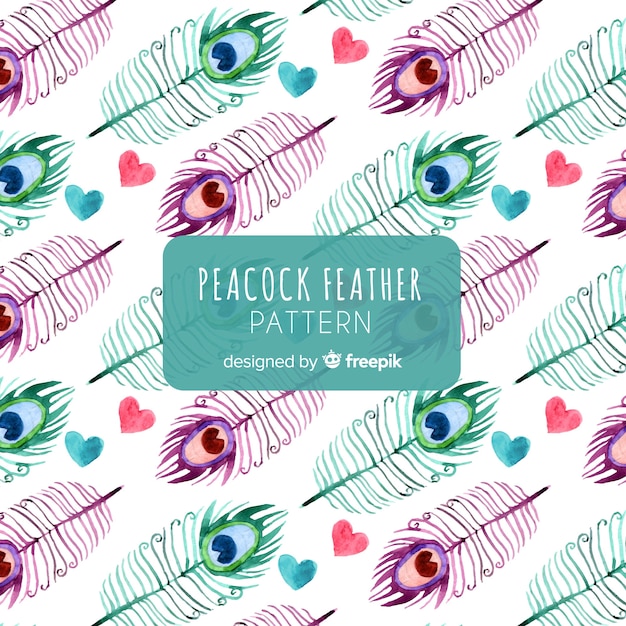 Free vector lovely watercolor peacock feather pattern