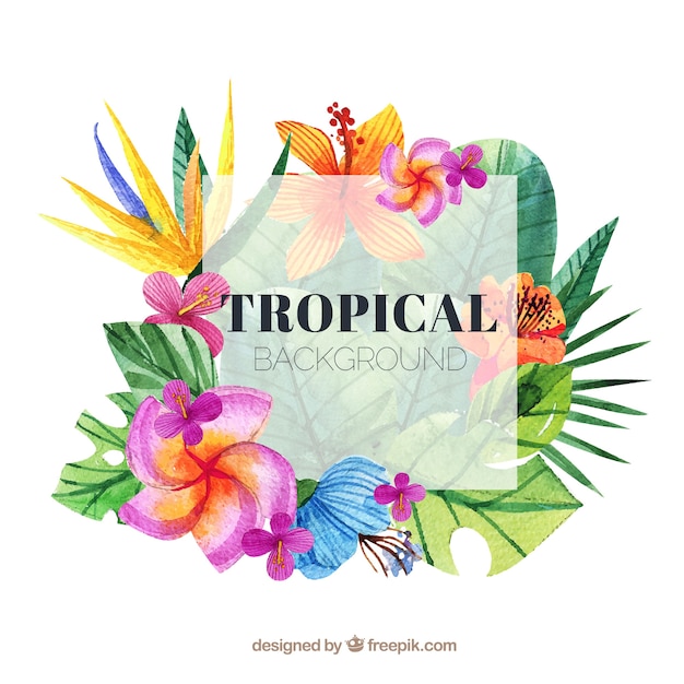 Lovely watercolor tropical background