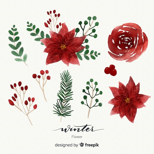 Lovely watercolor winter flower collection