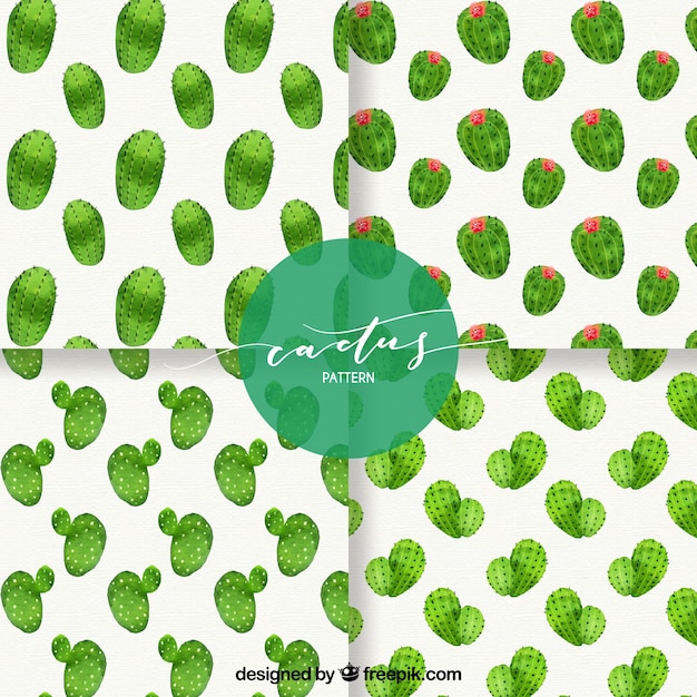 Free Vector lovlely pack of watercolor cactus patterns