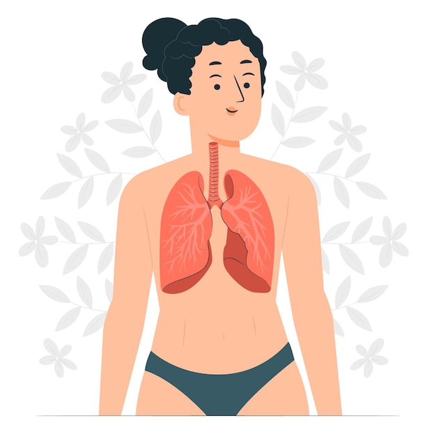 Free vector lungs concept illustration