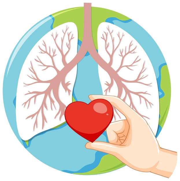 Free Vector lungs human icon vector