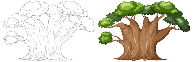 Free Vector lush tree before and after illustration