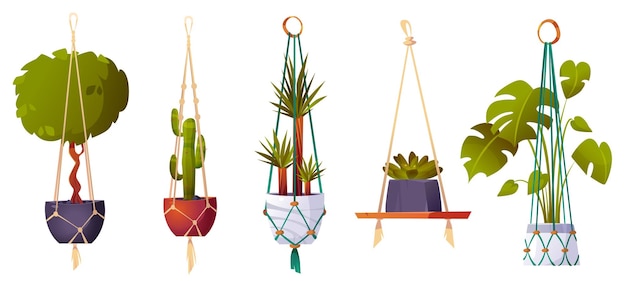 Free Vector macrame hangers with green house plants