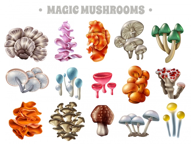 Free Vector magic mushrooms set