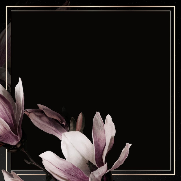 Free Vector magnolia border frame on black background