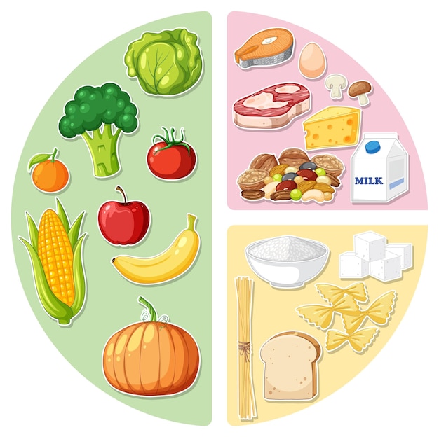 Free Vector main food groups macronutrients vector