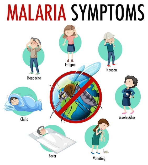 Free Vector malaria symptom information infographic