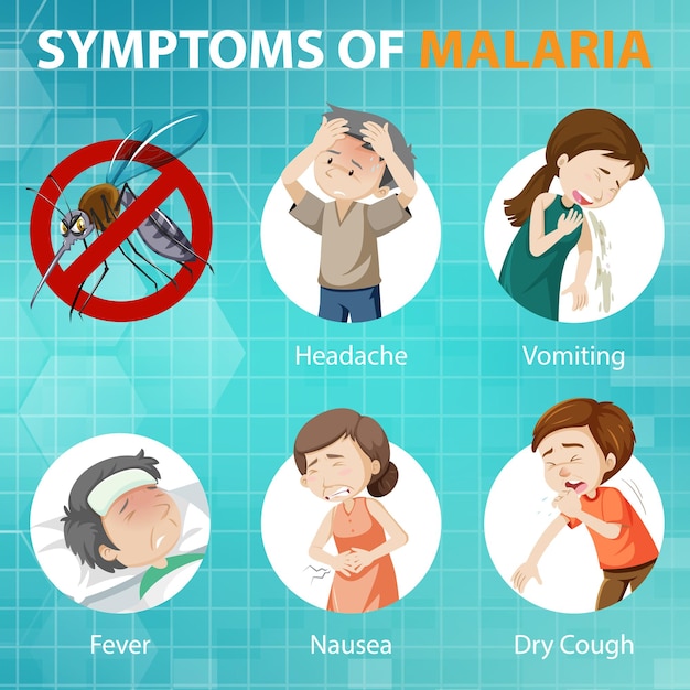 Free Vector malaria symptoms cartoon style infographic