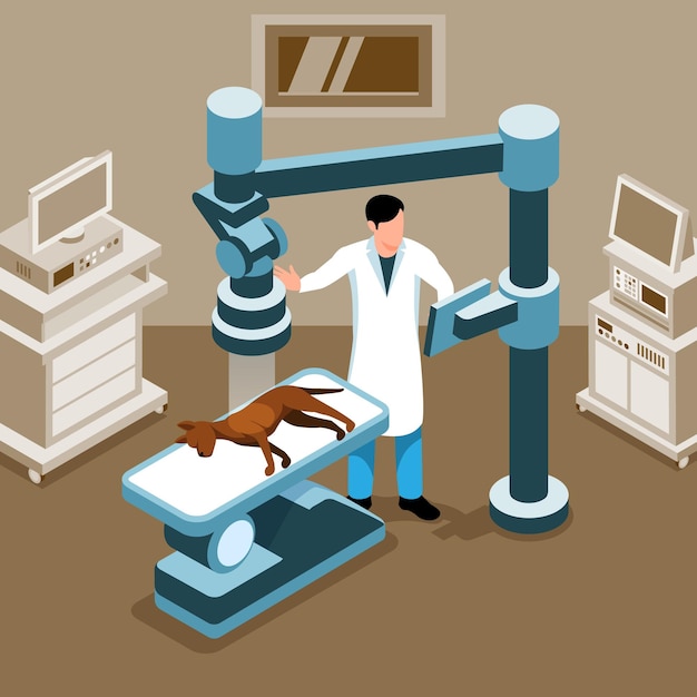 Free Vector male veterinary doctor examining dog in xray room isometric vector illustration