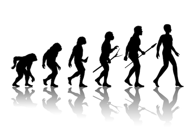 Man evolution. Silhouette progress growth development.