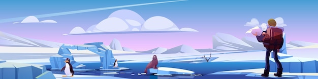 Free Vector man hiker in north cartoon vector background tourist with large backpack stands on snow and frozen ice covered landscape next to penguins and sea lion wildlife researcher meets northern animals