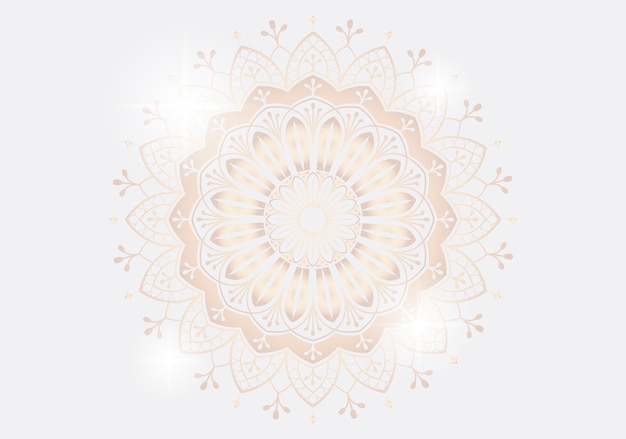 Free Vector mandala illustration