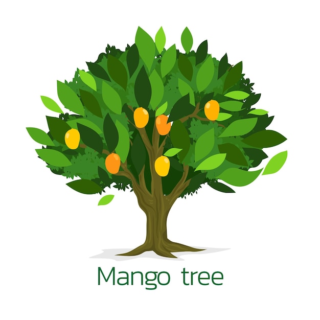 Free Vector mango tree flat design illustration