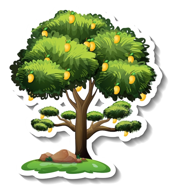 Free Vector mango tree sticker on white background