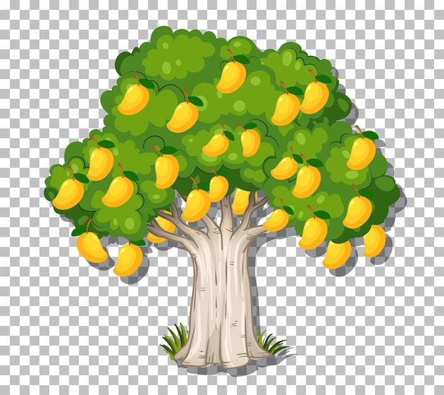 Free Vector mango tree on transparent background