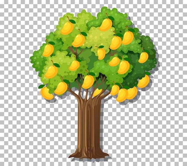 Free Vector mango tree on transparent background