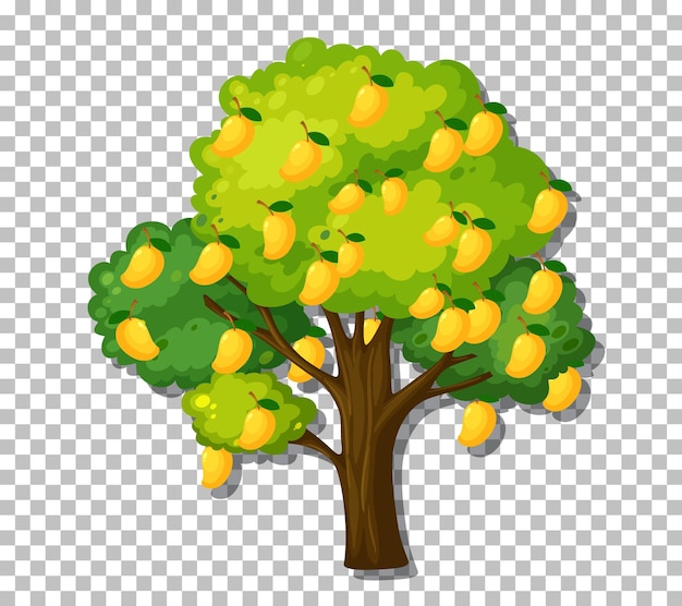 Free vector mango tree on transparent background