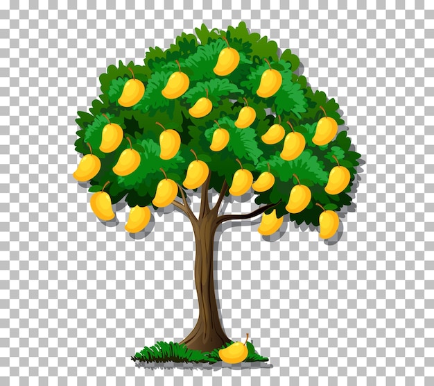 Free vector mango tree on transparent background