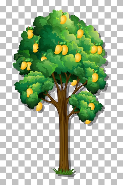 Free vector mango tree on transparent background