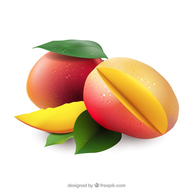 Free Vector mangoes in realistic style