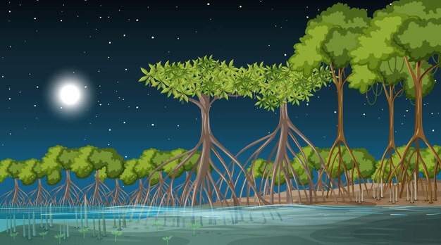 Mangrove forest landscape scene at night