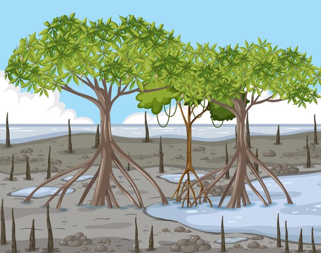 Free Vector mangrove forest landscape scene