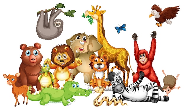 Many cute animals on white background